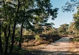 De Wever Lodge foto 26