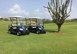 Blue Bay Golf & Beach Resort foto 9