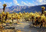 2 weeks in Western USA foto 3