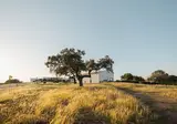 Herdade dos Delgados foto 22