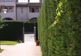 Residenza dei Cavalleggeri foto 26