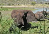 16 daagse singlereis Klassiek Zuid Afrika foto 5