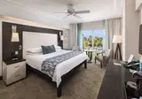 The Palms Hotel & Spa foto 29