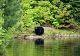 An epic roadtrip from Quebec to Nova Scotia foto 1