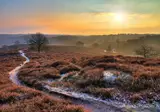 Kerst op de Veluwe, Nunspeet foto 4