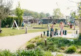 De Boshoek foto 11