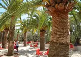 La Baume-la Palmeraie foto 16