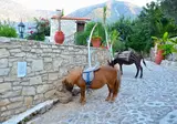Stone Village Petrino Horio foto 30