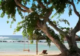 The Westin Turtle Bay Resort and Spa Mauritius foto 13