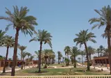 Nuweiba Club Resort foto 10