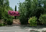 Artemis Cynthia Complex foto 13