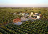 Tenuta Mazzetta Agriturismo foto 10
