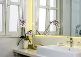 Marul foto 30