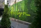 Rosslyn Thracia Hotel foto 3