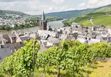 Over de Rijn en Moezel naar Cochem en Boppard met mps Rembrandt van Rijn foto 2