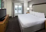 Homewood Suites Miami Airport / Blue Lagoon foto 2