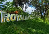 Royal Mandarin foto 13