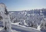 8 daagse excursiereis Explore and Experience Ruka foto 1