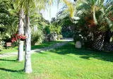 Villa dei Papiri foto 28