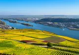 Rijnromantiek naar Rüdesheim met mps Serenade 2 foto 1