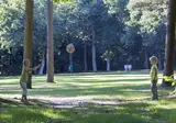 Oostappen Vakantiepark Arnhem foto 23