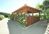 Flor da Laranja foto 1