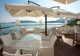 Aleksandar foto 7