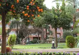 Hotel Best Siroco foto 5
