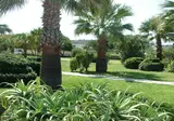 Babaylon Hotel foto 23