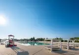 Rosapineta Camping Village foto 1