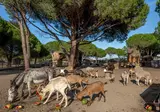 Camping Le Floride Et L Embouchure foto 10