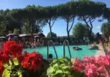 Village Punta Navaccia foto 8