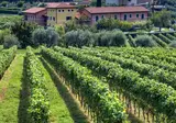 Vakantiepark Tenuta Di Palu foto 4