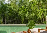 Hyatt Zilara Riviera Maya foto 14
