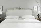 Schlosshotel Berlin foto 20