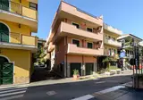 Le Tartarughe Mare foto 8