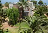 Aparthotel Lito Beach foto 10