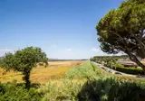Camping hu Park Albatros Village foto 19
