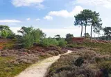 Fietsvakantie 7 Friese steden foto 11