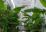 Mojo Hotel foto 5