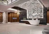 Adagio Premium The Palm foto 8
