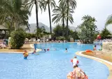 Flamingo Oasis foto 24