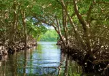 Cruise Grote Antillen, Belize & Mexico foto 16