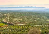 Gouden Driehoek van Andalusië foto 5
