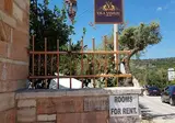 Vila Vasiliu foto 24