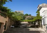 Il Telamonio foto 3