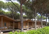 Camping Village Africa foto 13
