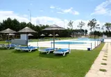 Gala foto 15