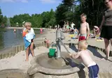 De Baalse Hei foto 3