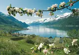 De fjorden op het gemak foto 11